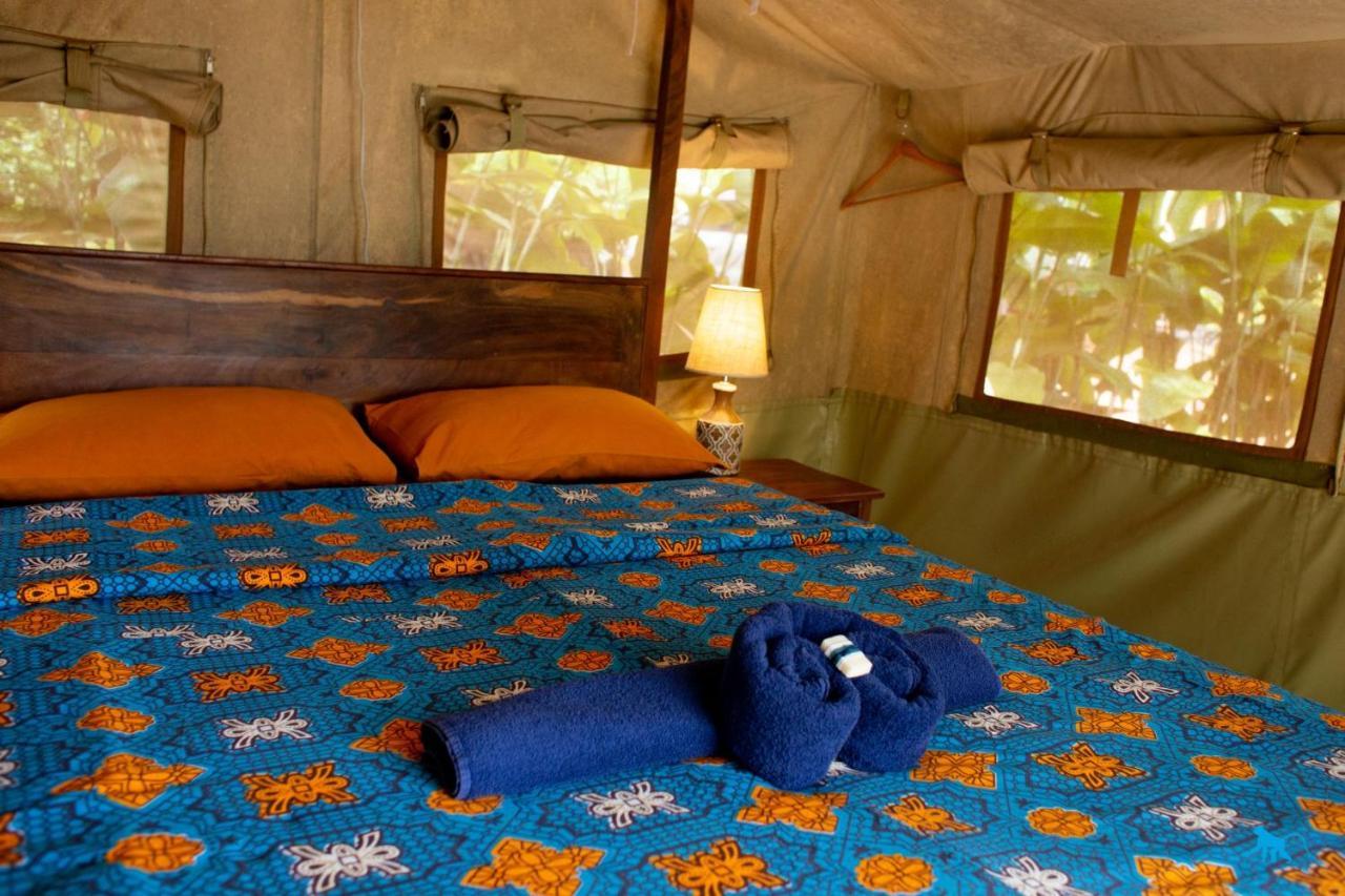 Bluemonkey Guesthouse Entebbe Exterior photo