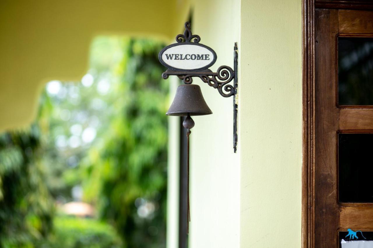 Bluemonkey Guesthouse Entebbe Exterior photo