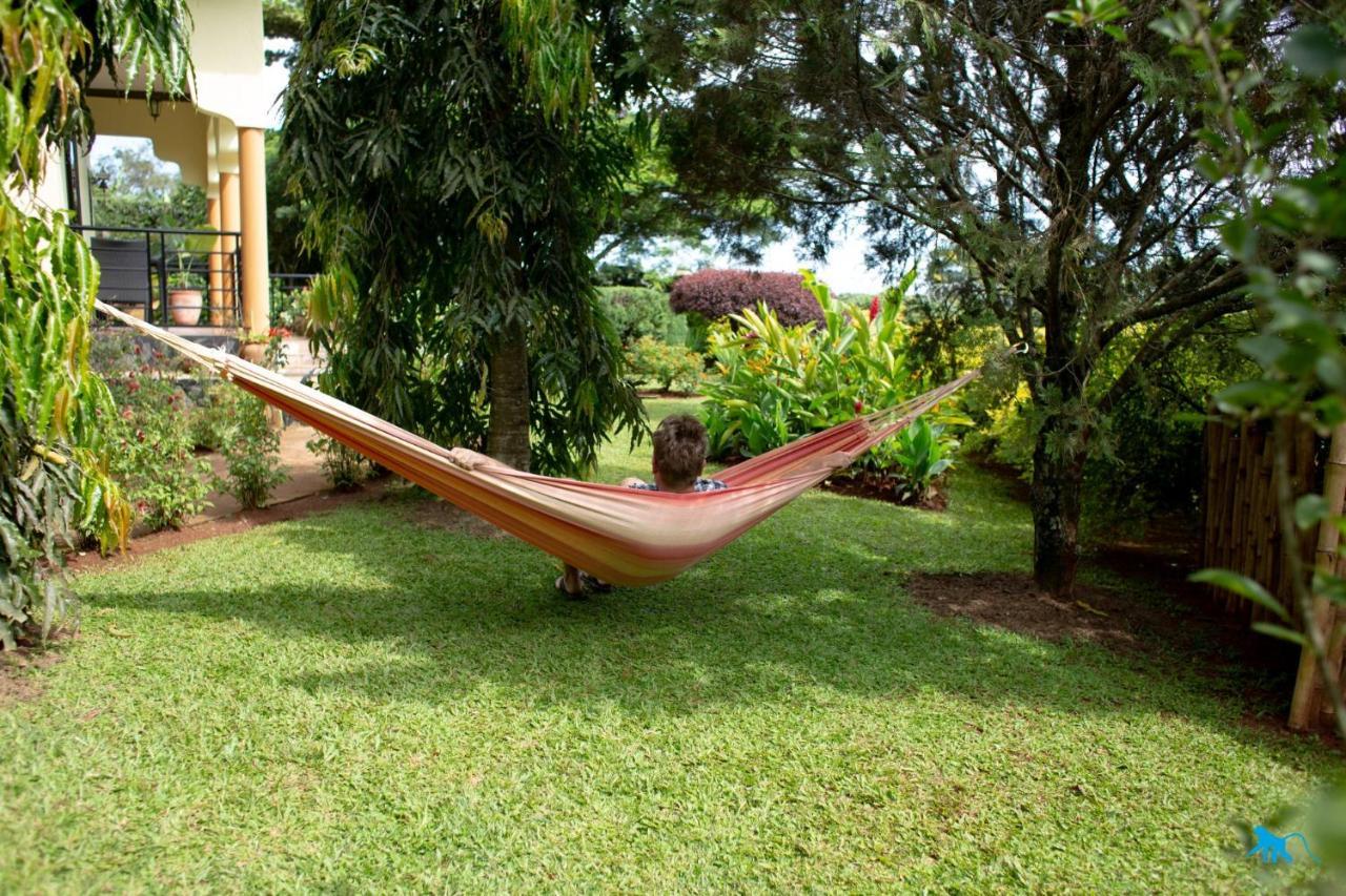 Bluemonkey Guesthouse Entebbe Exterior photo