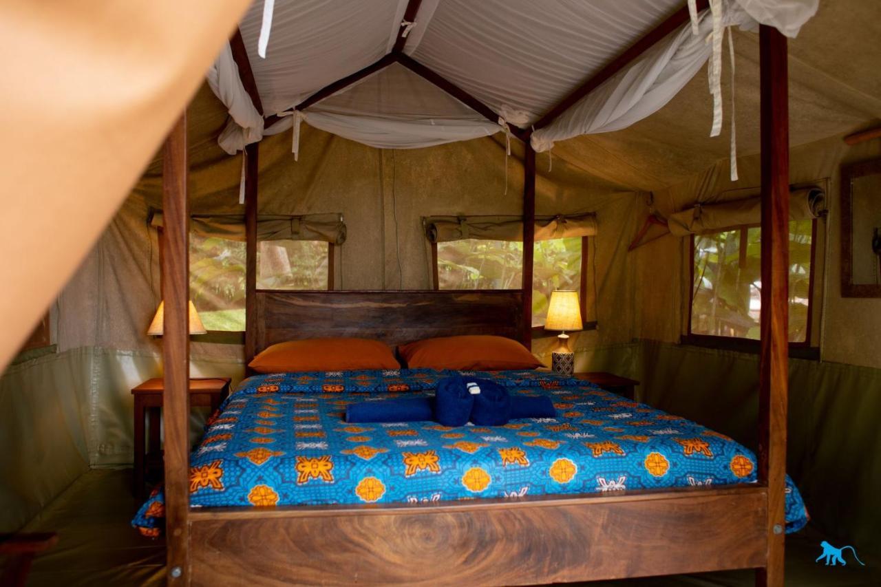 Bluemonkey Guesthouse Entebbe Exterior photo