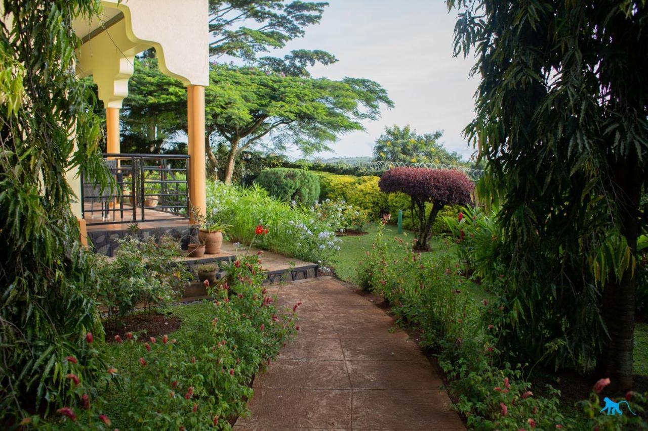 Bluemonkey Guesthouse Entebbe Exterior photo